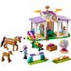 Конструктор LEGO Friends Тренування коня (41746) 262992 фото 7