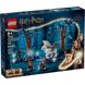 Конструктор LEGO Harry Potter Заборонений ліс: чарівні істоти (76432) 262998 фото 1